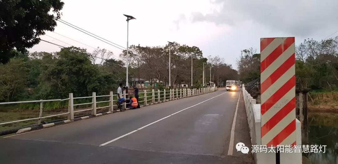 總統、發展局主席齊齊發聲，源碼火遍這個國家