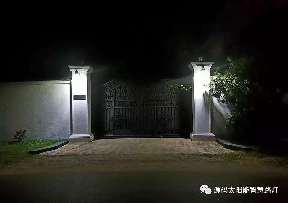 總統、發展局主席齊齊發聲，源碼火遍這個國家